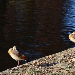2016-12-10 Bordeaux/City center/DSC_0015.JPG